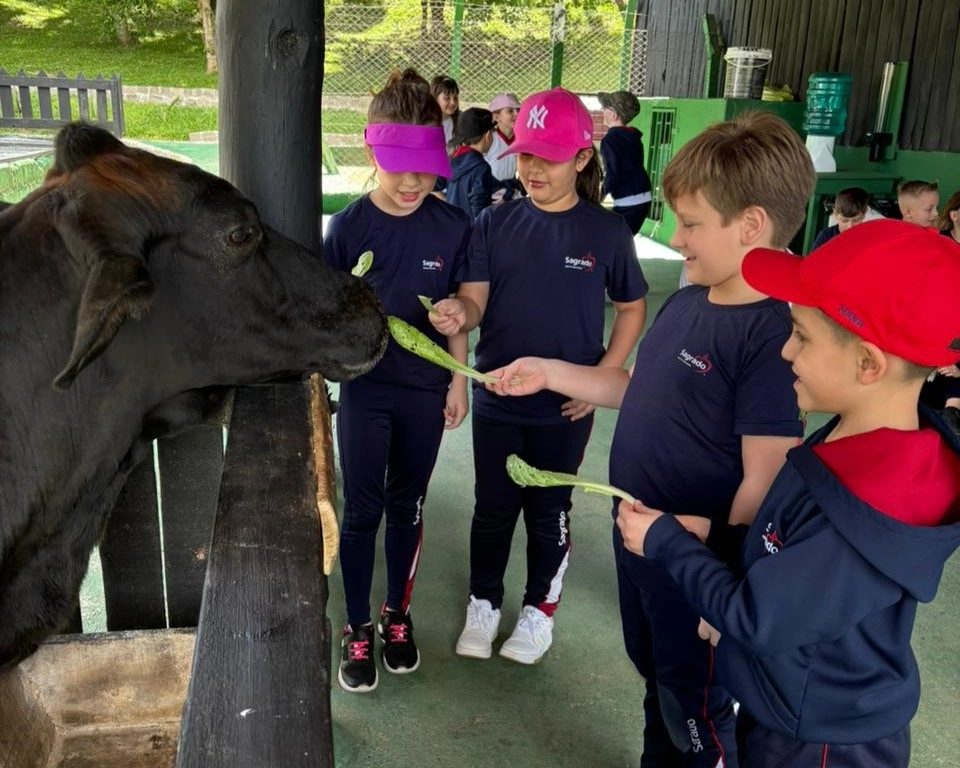 1º ano vivencia uma tarde para sentir, observar e cuidar da Criação de Deus