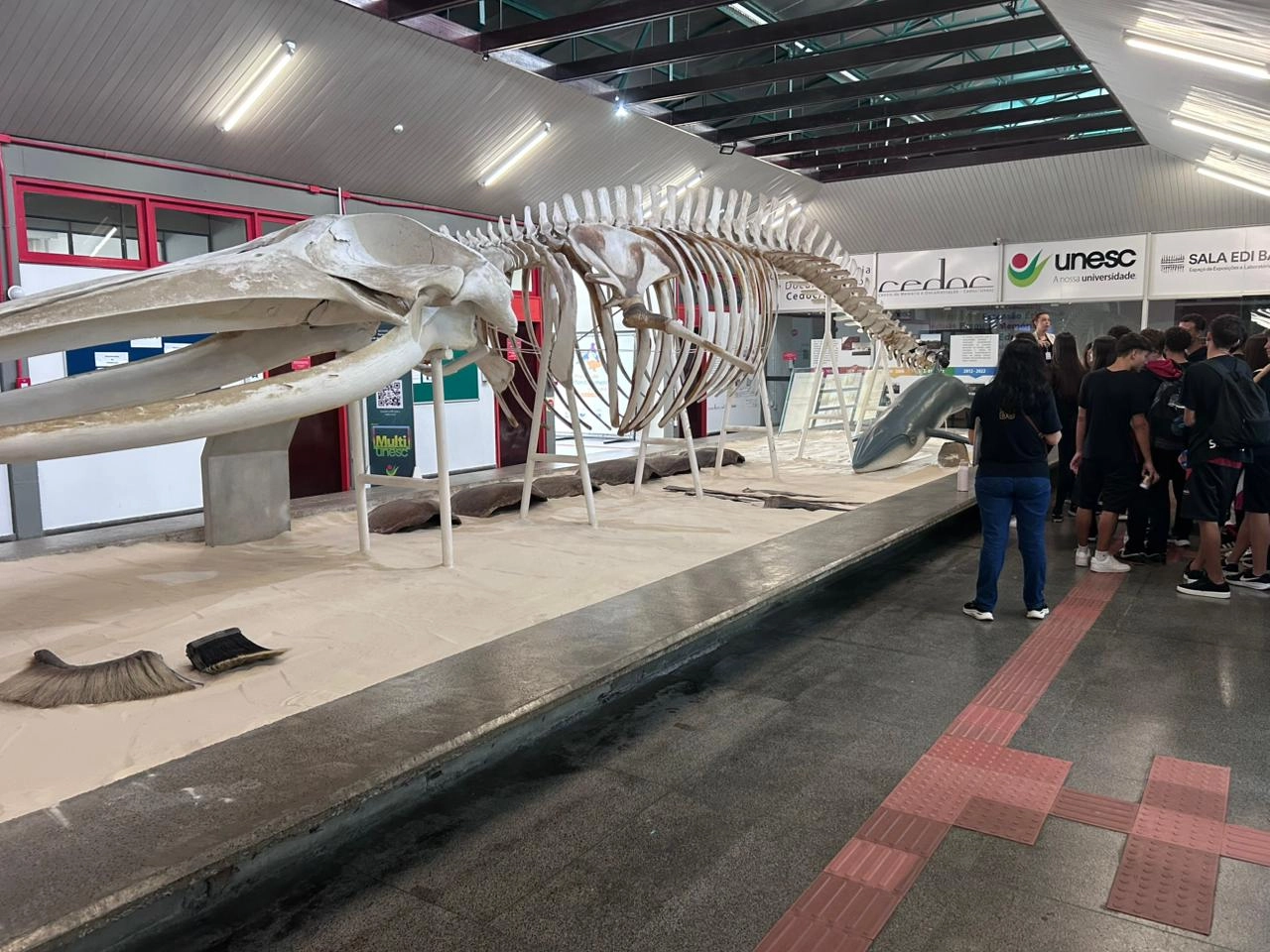 Terceirão da Escola de Educação Básica São Domingos vivencia experiência universitária e amplia horizontes profissionais na Unesc, em Criciúma/SC