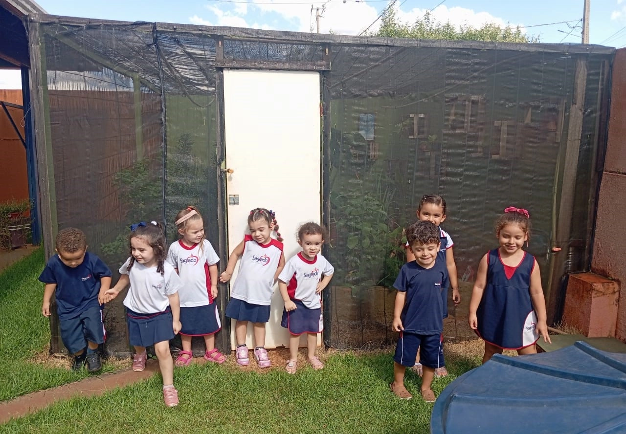 Vivência na horta desperta sentidos e curiosidade na Educação Infantil